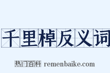 千里棹反义词是什么意思的图片